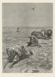 In the Desert